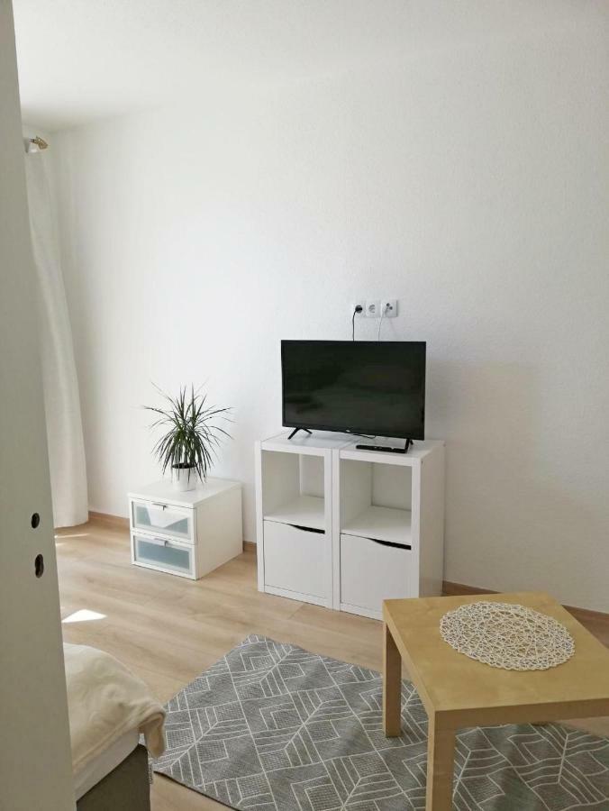 זלצגיטר Ferienwohnung Mammut 1 מראה חיצוני תמונה